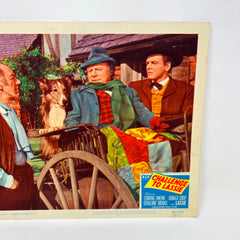 1949 Challenge to Lassie Lobby Card Movie Poster (a)