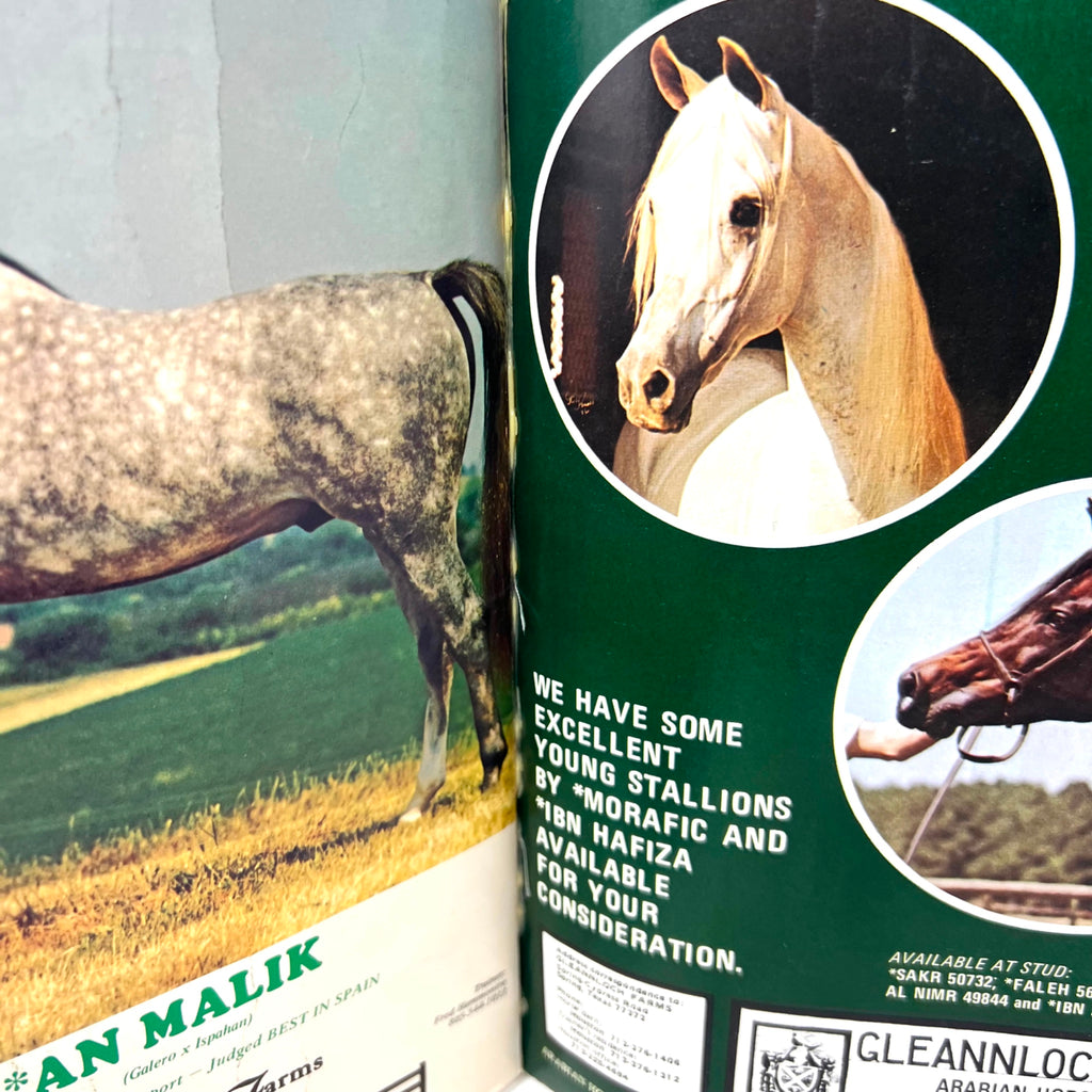 Arabian Horse World Vol. 14 No.4 January 1974 Stallion Gide Khemosabi