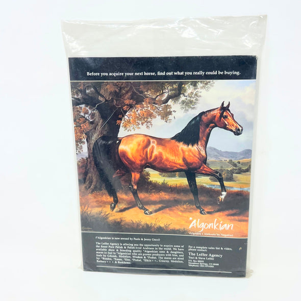 Arabian Horse World July 1989 Vol 29, No 10 Horse Magazne