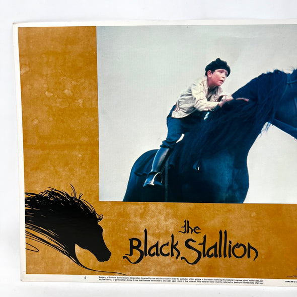 The Black Stallion Movie Collectible Lobby Card 11X14 No.4