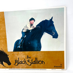 The Black Stallion Movie Collectible Lobby Card 11X14 No.4