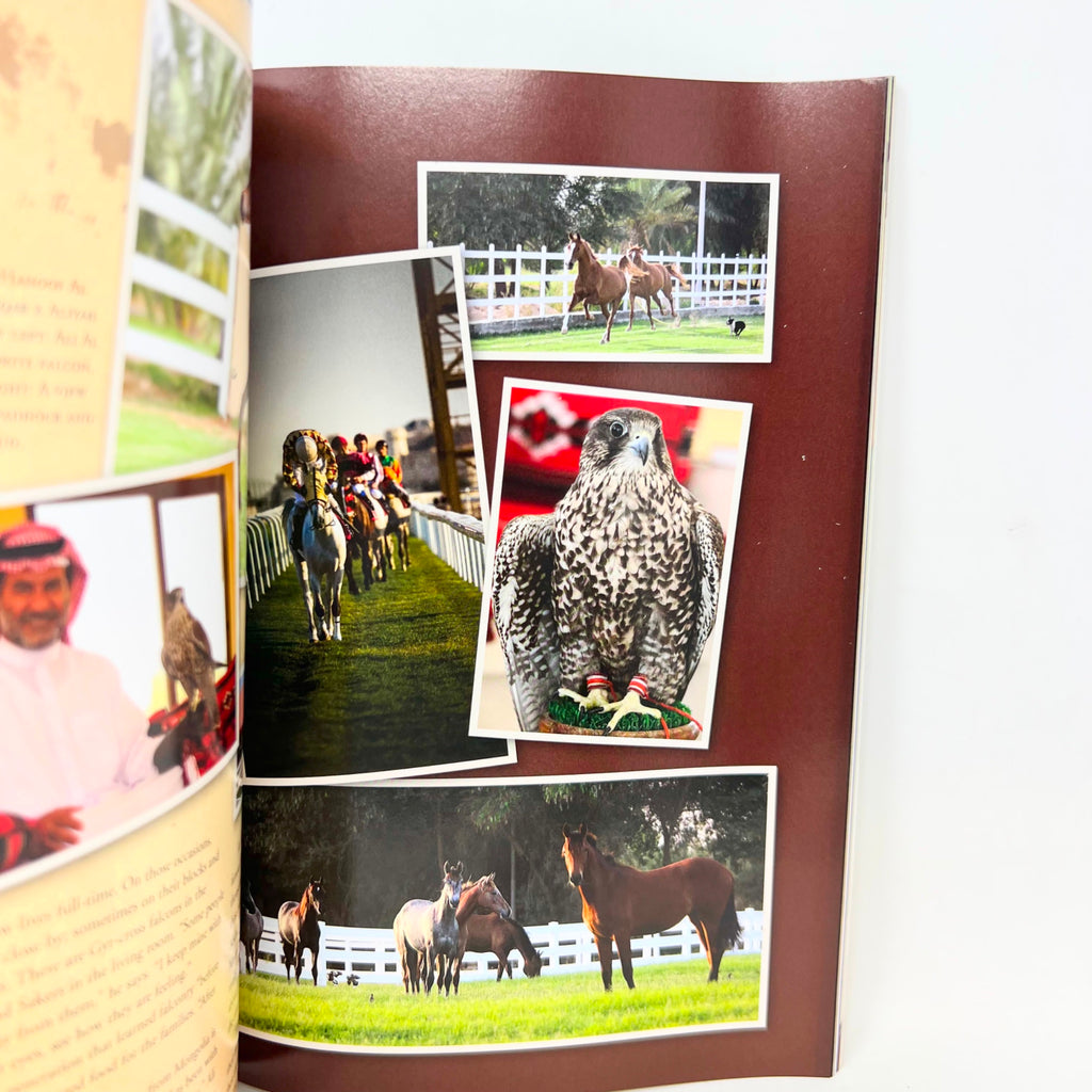 Arabian Horse World September 2014 Vol. 54 No.12 Magazine
