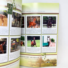 Arabian Horse World March 2014 Vol. 54 No. 6