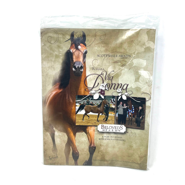Arabian Horse World January 2014 Vol. 54 No.4 Horse Magaizne