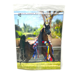 Arabian Horse World January 2014 Vol. 54 No.4 Horse Magaizne