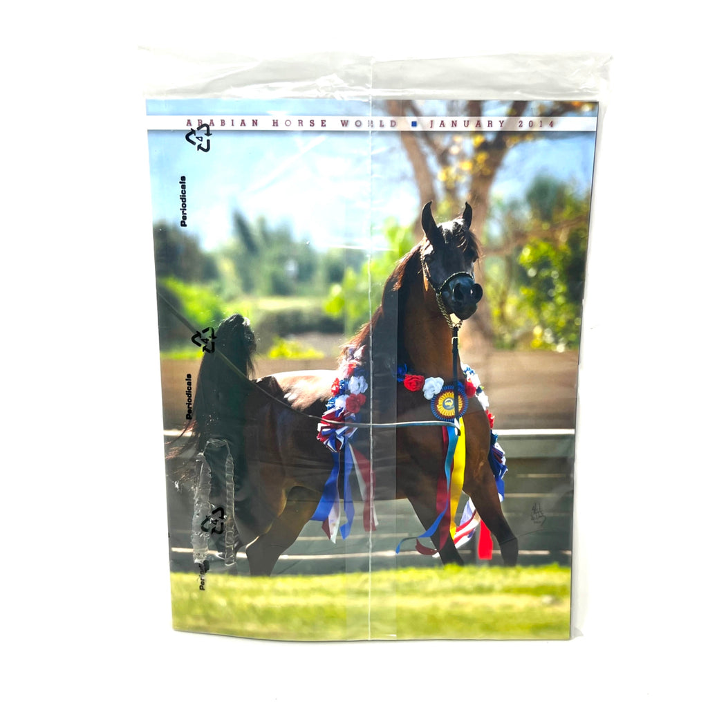 Arabian Horse World January 2014 Vol. 54 No.4 Horse Magaizne