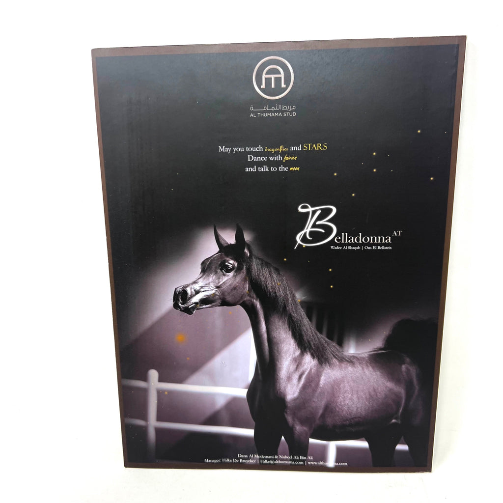 Arabian Horse Times magazine 2016 Issue 5 Volume 46 No. 12 Moaiz Al Baydaa Cover