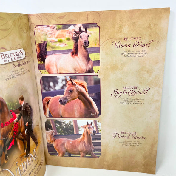 Arabian Horse Times magazine 2016 Issue 1 Vol. 46 No.8 Satin Doll GA Cover
