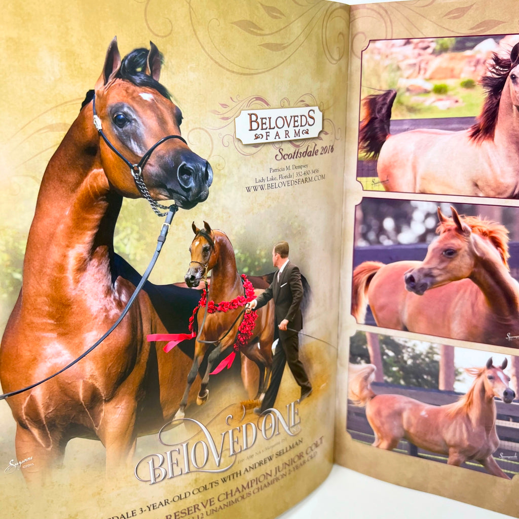 Arabian Horse Times magazine 2016 Issue 1 Vol. 46 No.8 Satin Doll GA Cover