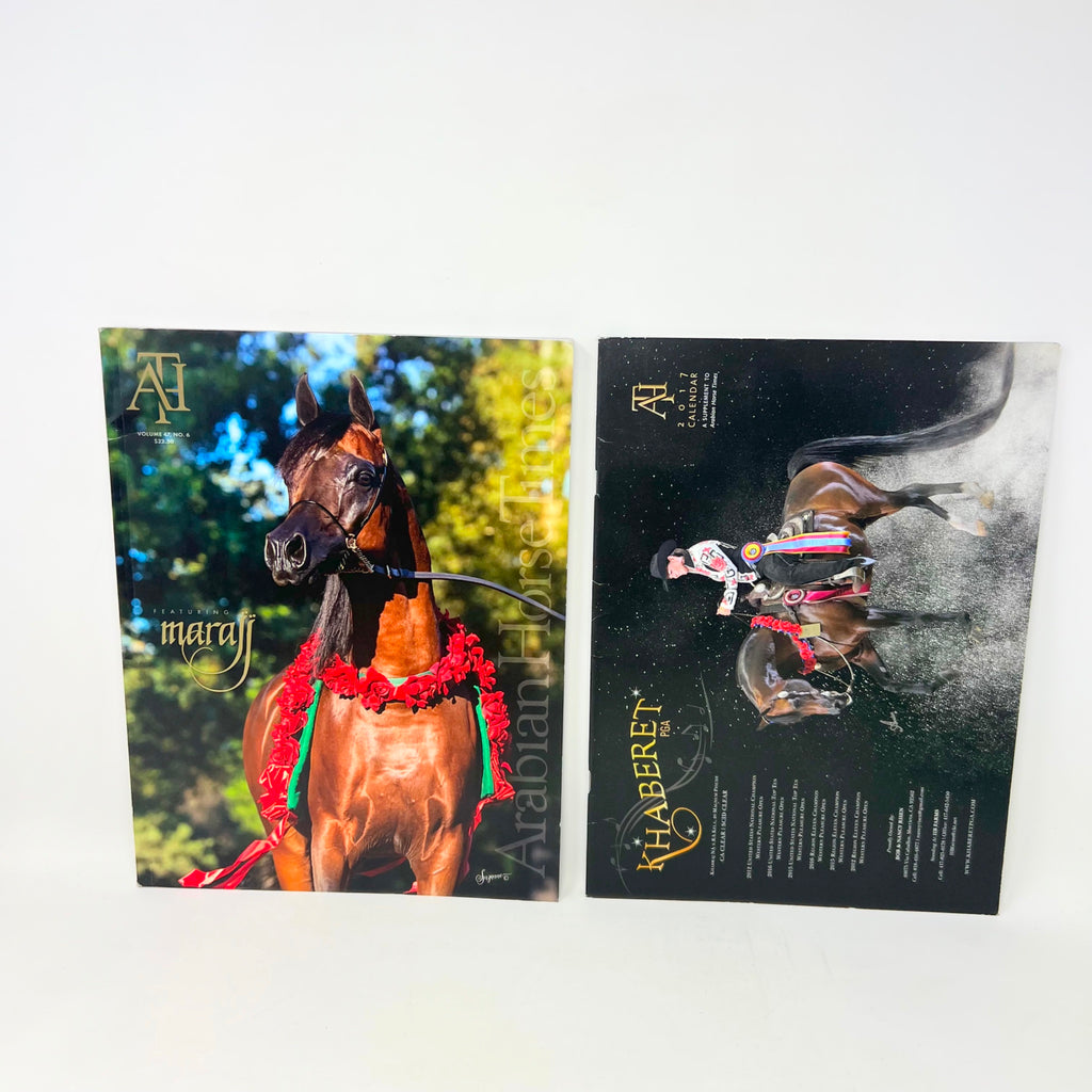 Arabian Horse Times magazine Vol 47 No.6 & 2017 Calendar