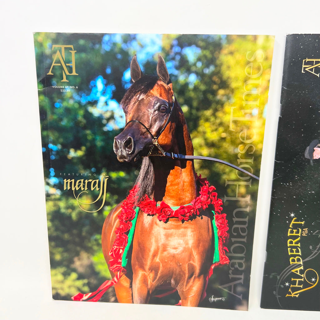 Arabian Horse Times magazine Vol 47 No.6 & 2017 Calendar