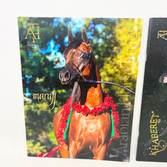 Arabian Horse Times magazine Vol 47 No.6 & 2017 Calendar