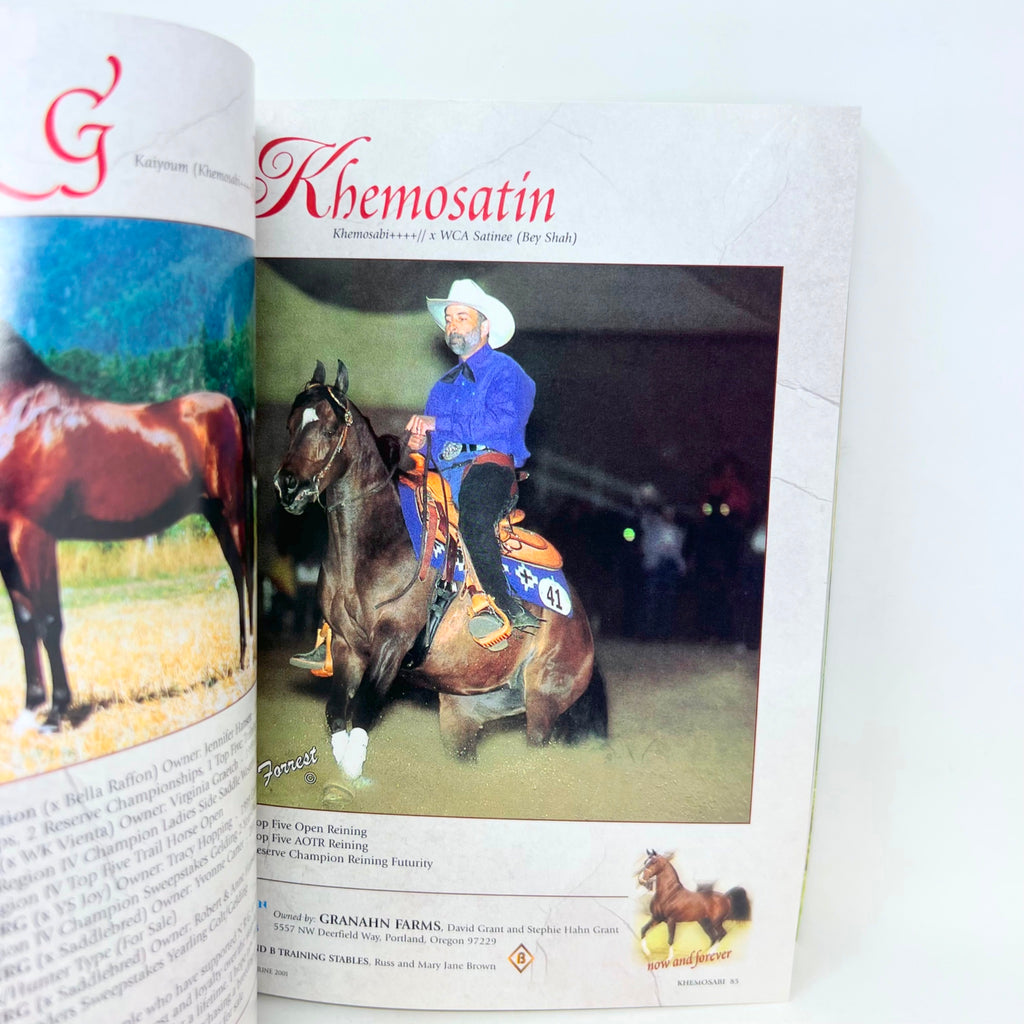 Arabian Horse Times June 2001 Horse magazine