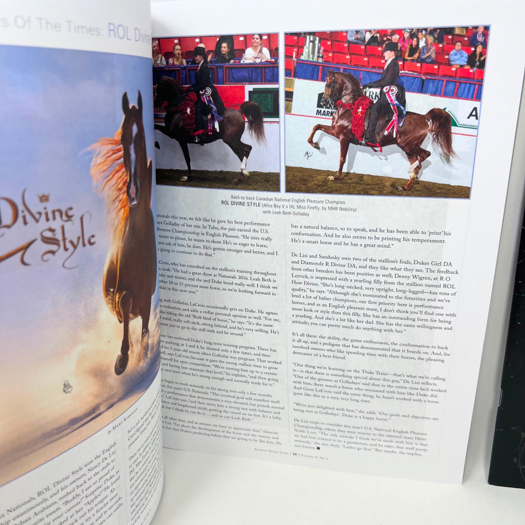 Arabian Horse Times magazine Vol 47 No.6 & 2017 Calendar