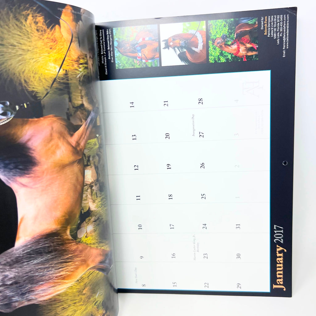 Arabian Horse Times magazine Vol 47 No.6 & 2017 Calendar