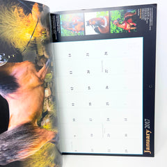 Arabian Horse Times magazine Vol 47 No.6 & 2017 Calendar