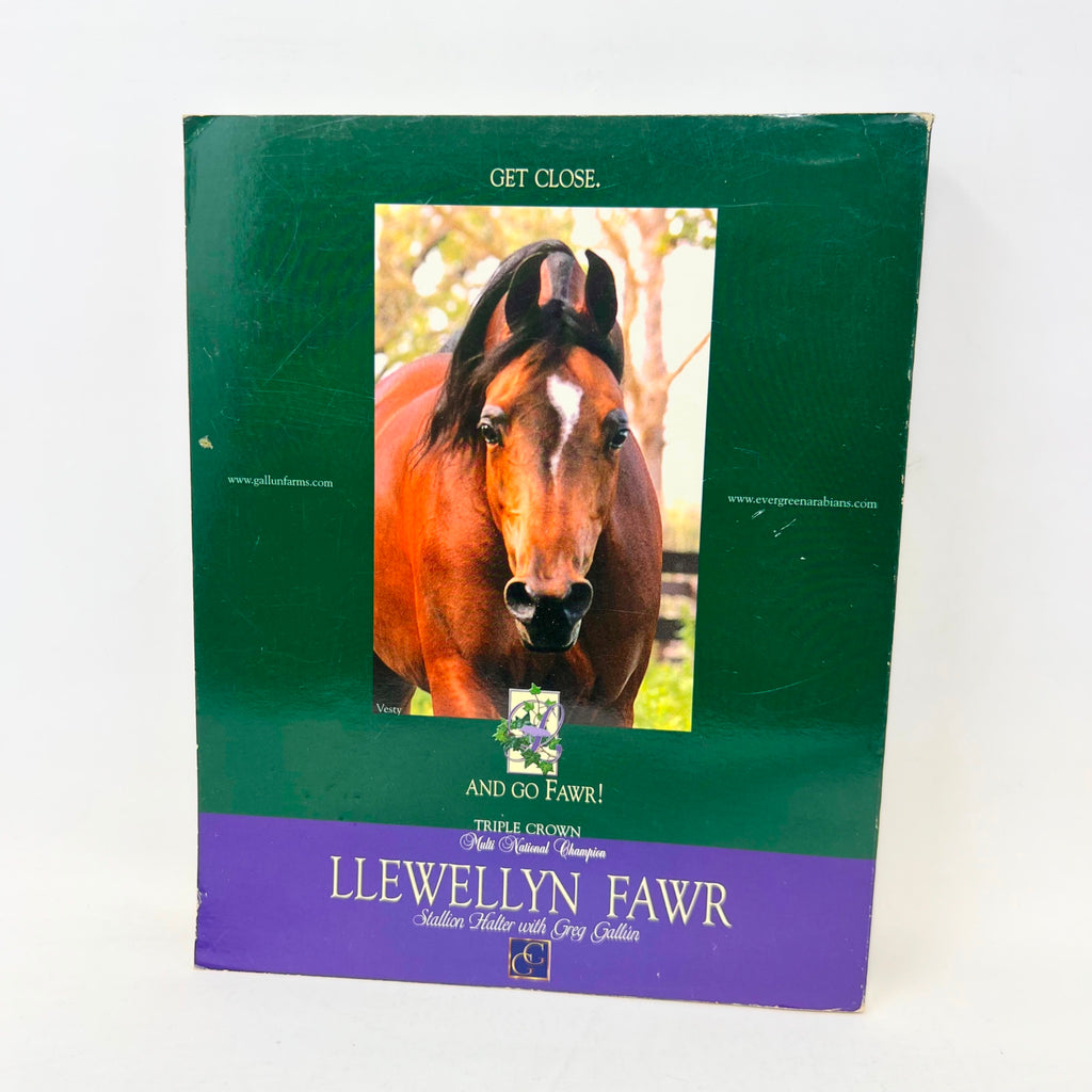 Arabian Horse Times June 2001 Horse magazine