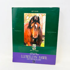 Arabian Horse Times June 2001 Horse magazine