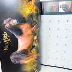Arabian Horse Times magazine Vol 47 No.6 & 2017 Calendar