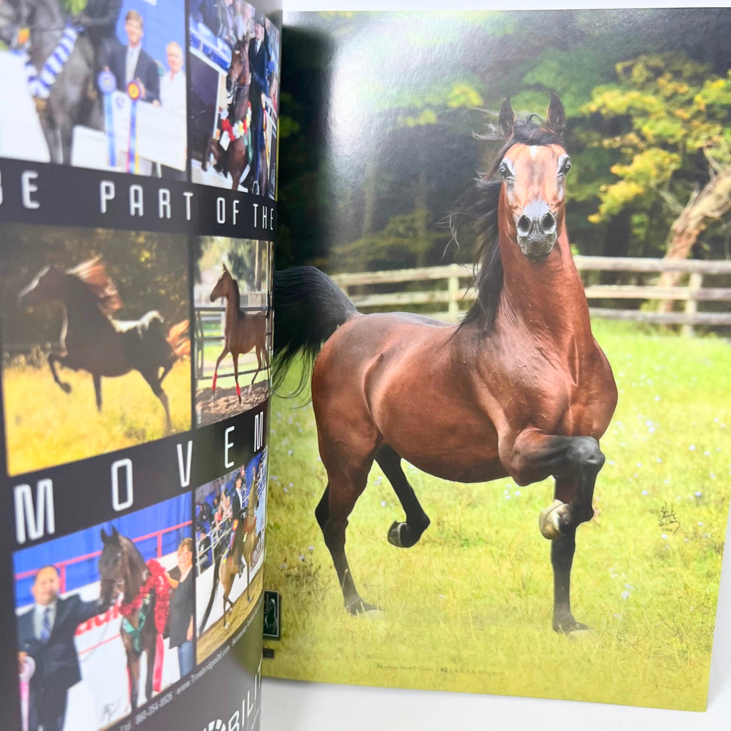 Arabian Horse Times magazine  Vol. 47 No.7 2017 Issue 1 Bellagio Cover