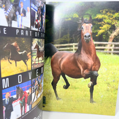 Arabian Horse Times magazine  Vol. 47 No.7 2017 Issue 1 Bellagio Cover