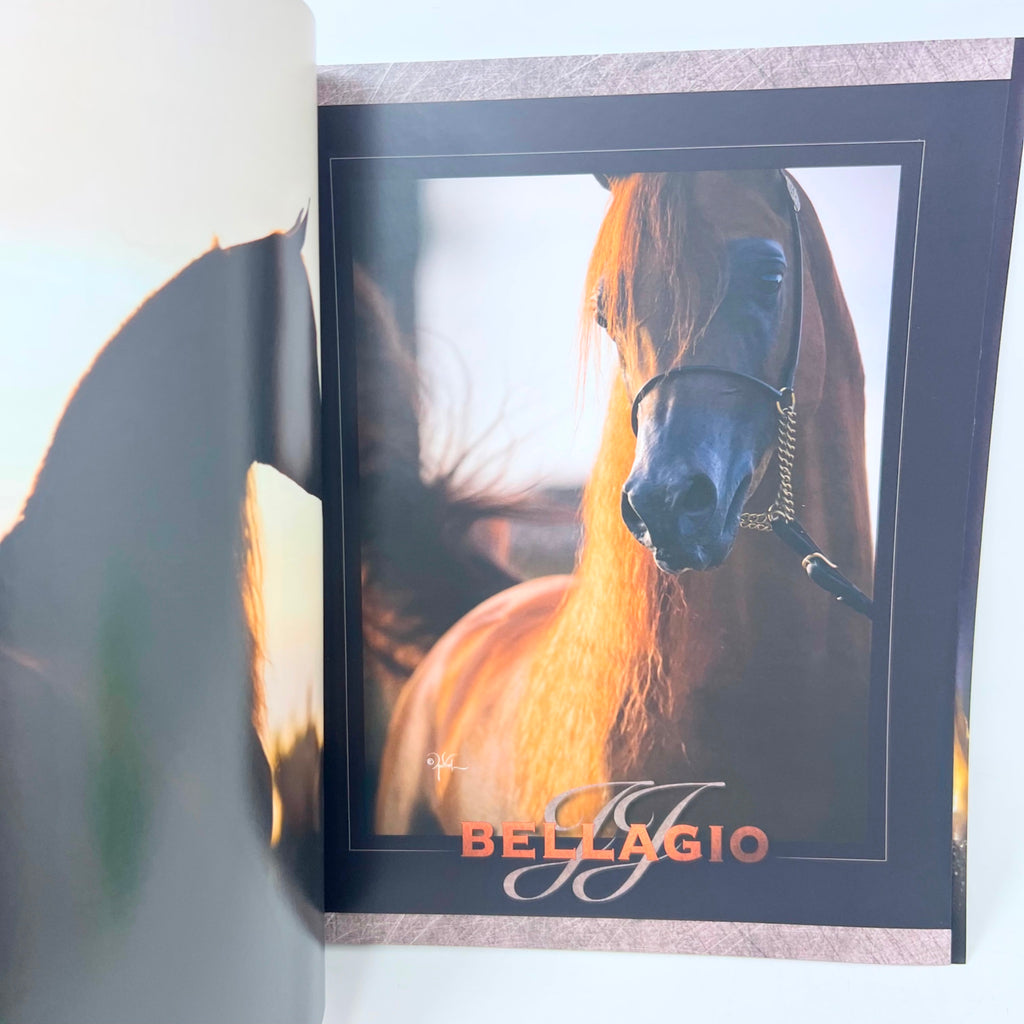 Arabian Horse Times magazine  Vol. 47 No.7 2017 Issue 1 Bellagio Cover