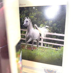 Arabian Horse Times magazine  Vol. 46 No.7 2015 Issue 12