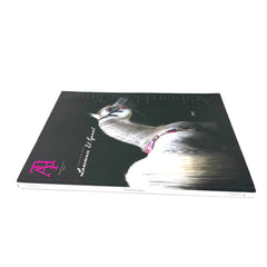 Arabian Horse Times magazine  Vol. 46 No.7 2015 Issue 12