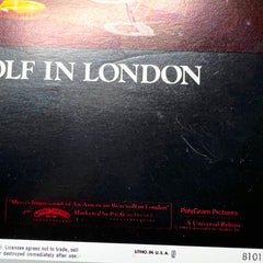 1981 An American Werewolf in London The Monster Orginal Movie Lobby Card No.5