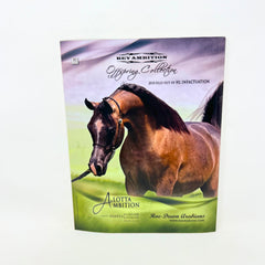 Arabian Horse World August 2012 Vol. 52, No.11 Horse Magazine