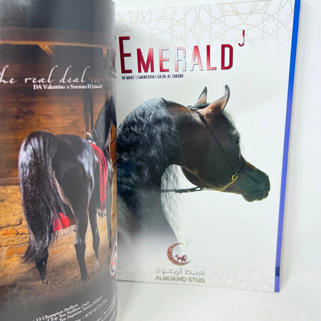 Arabian Horse World January 2015 Vol.55 No.4  Horse Magazine