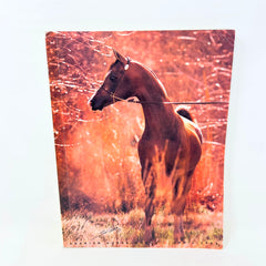 Arabian Horse World April 1994 Vol.34 No.7 Horse Magazine