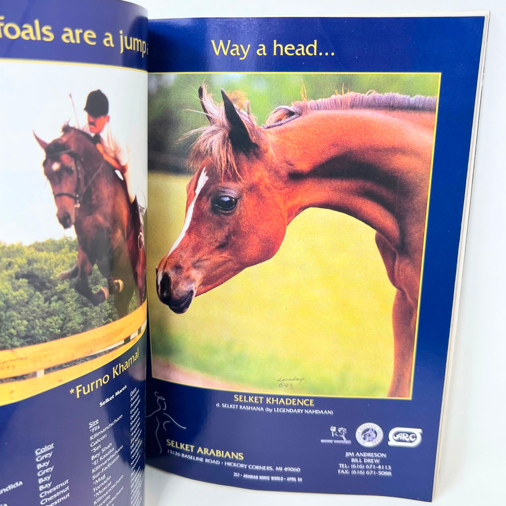 Arabian Horse World April 1994 Vol.34 No.7 Horse Magazine