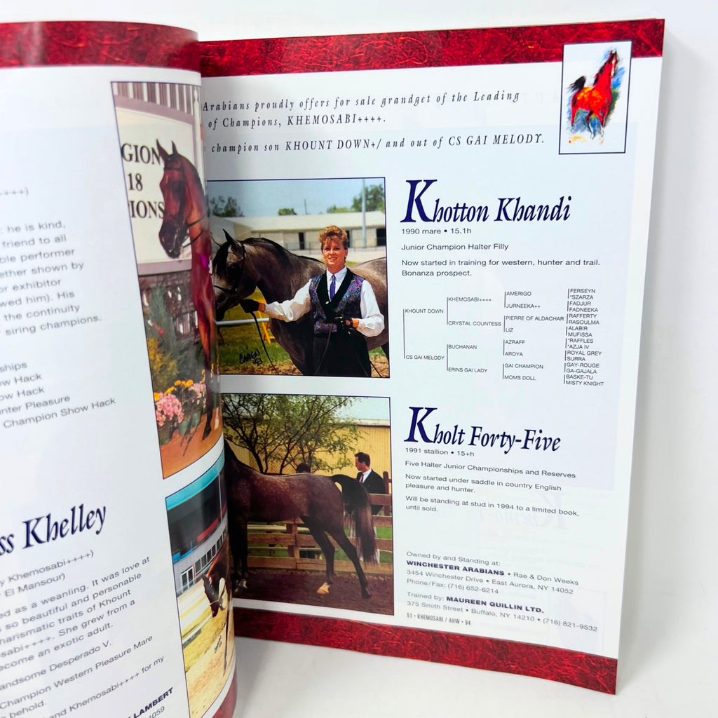 Arabian Horse World April 1994 Vol.34 No.7 Horse Magazine