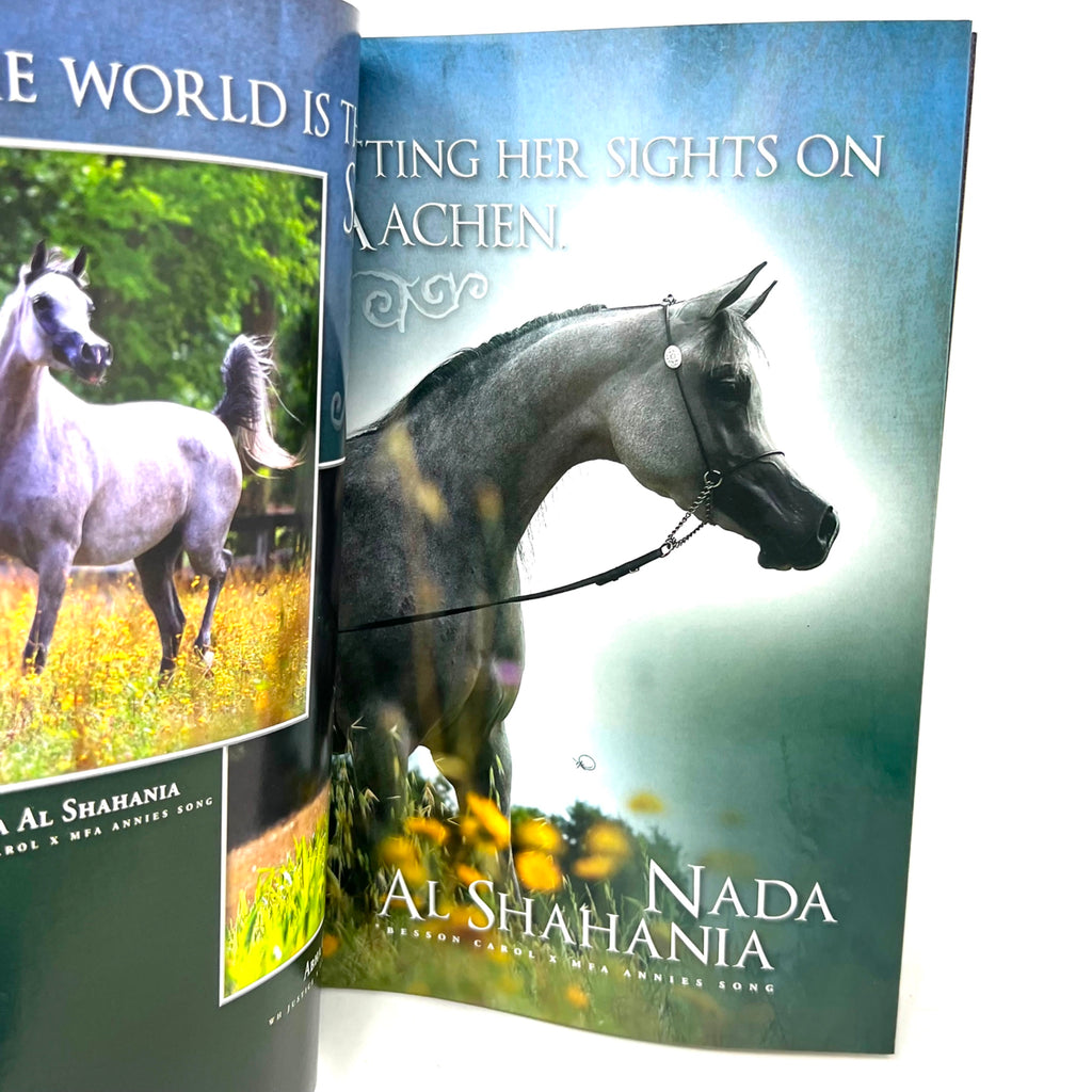 Arabian Horse World September 2013 Vol.53 No.12 Horse Magazine