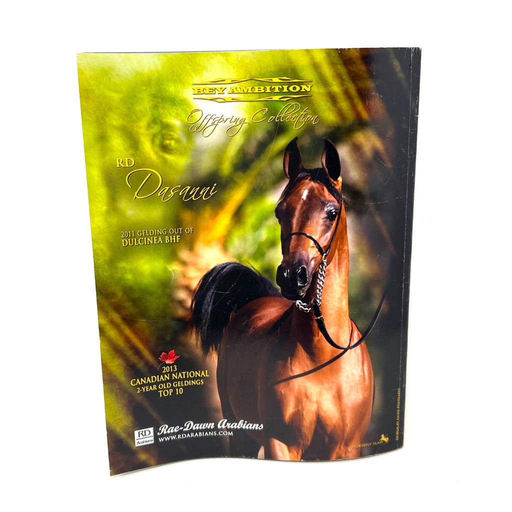Arabian Horse World September 2013 Vol.53 No.12 Horse Magazine