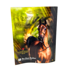 Arabian Horse World September 2013 Vol.53 No.12 Horse Magazine