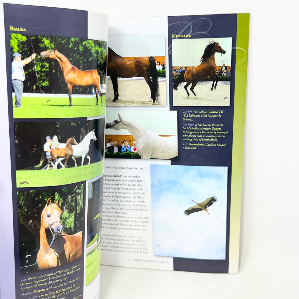 Arabian Horse World October 2014 No.55 No.1 Horse Magazine