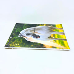 Arabian Horse World October 2014 No.55 No.1 Horse Magazine