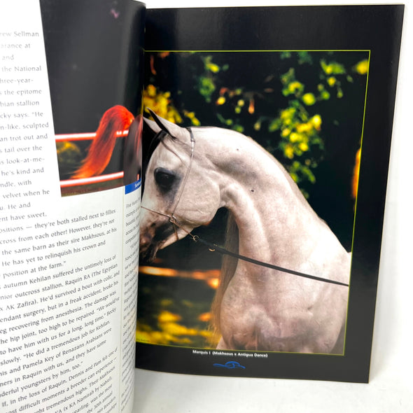 Arabian Horse World Quarterly Summer 2000 Vol. 3 No.3  Horse Magazine