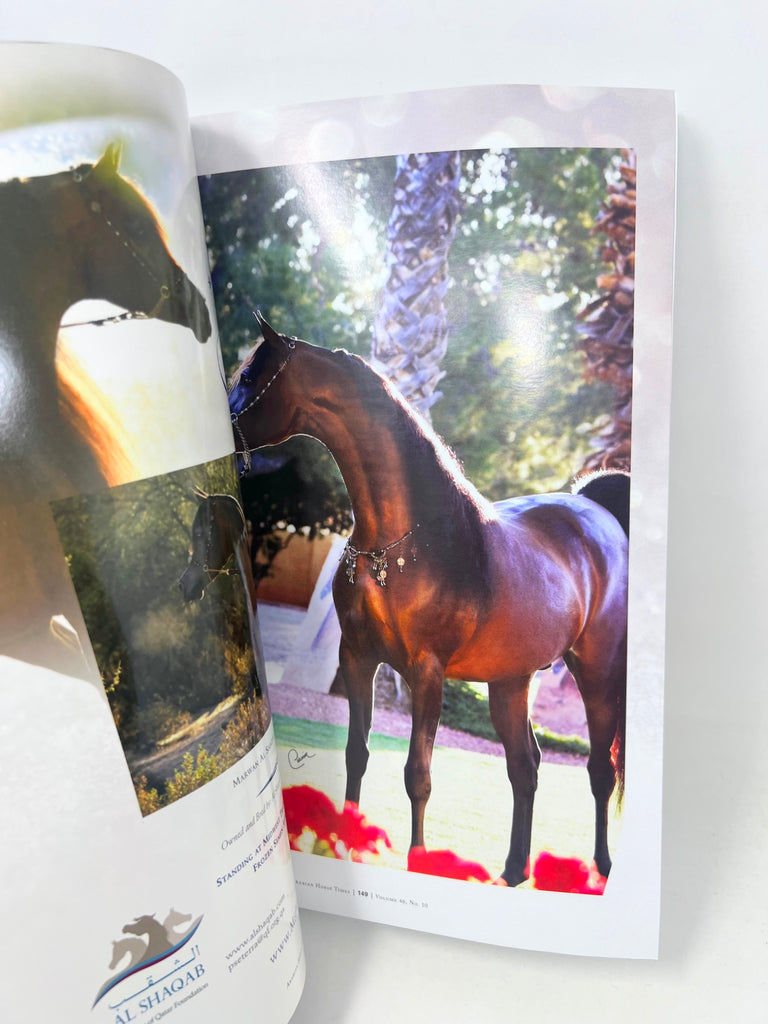 Arabian Horse Times 2016 issue 3 Vol. 46 No.10 Halyr Mia Lua Horse Magazine