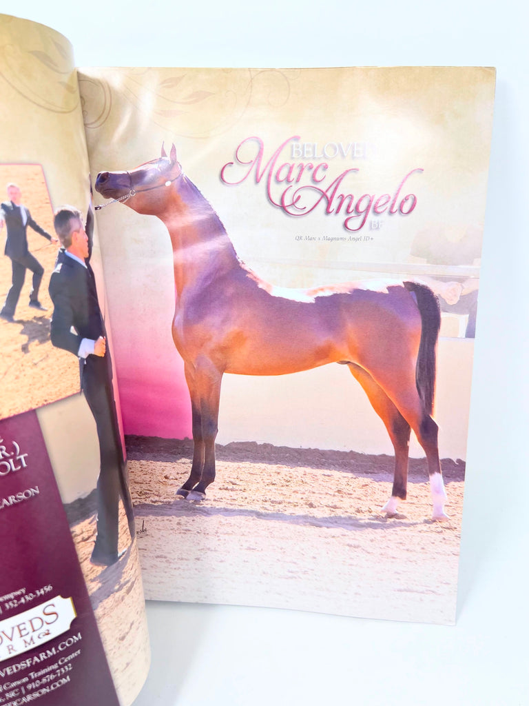 Arabian Horse Times 2016 issue 3 Vol. 46 No.10 Halyr Mia Lua Horse Magazine