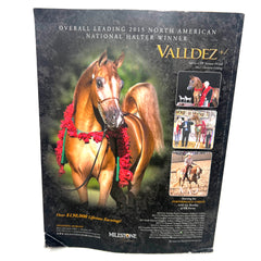 Arabian Horse Times 2016 issue 3 Vol. 46 No.10 Halyr Mia Lua Horse Magazine