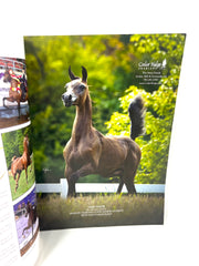 2022 Scottsdale Arabian Horse Show 67th Annual  Horse Magazine