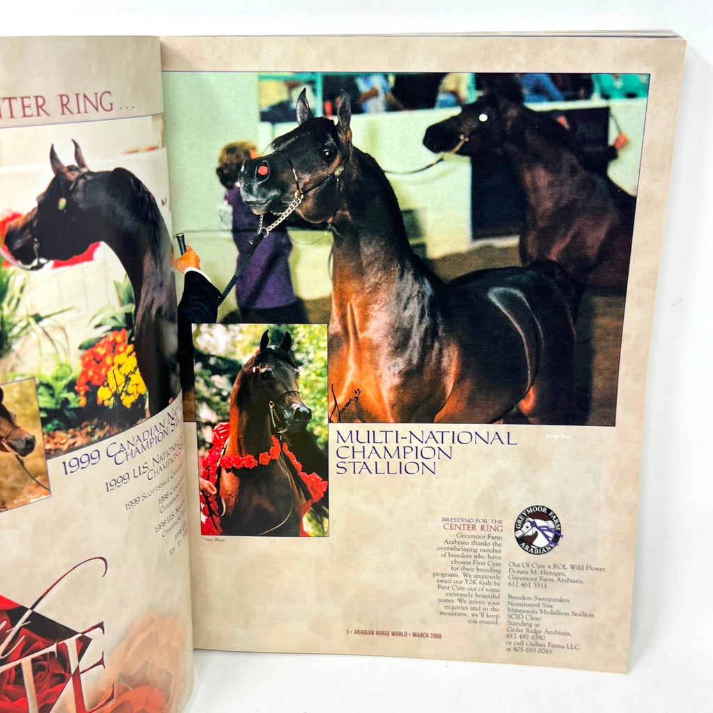 Arabian Horse World Magazine March 2000 Vol. 40 No.6