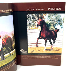 The Arabian Horse World  April 1991 Not. 31 No.7